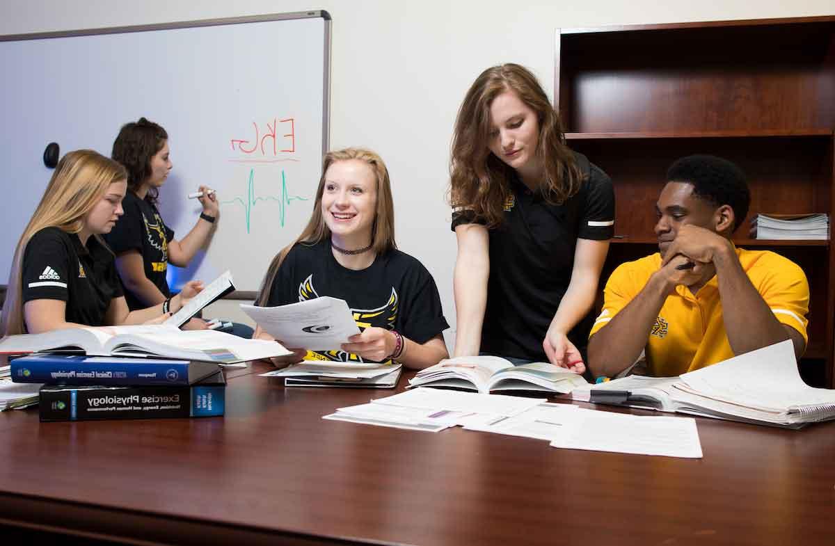 Students studying together in a study room